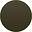 Shiny Transparent Dark Olive
