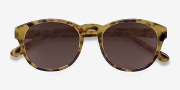 Brown/Tortoise Coppola -  Vintage Acetate Sunglasses