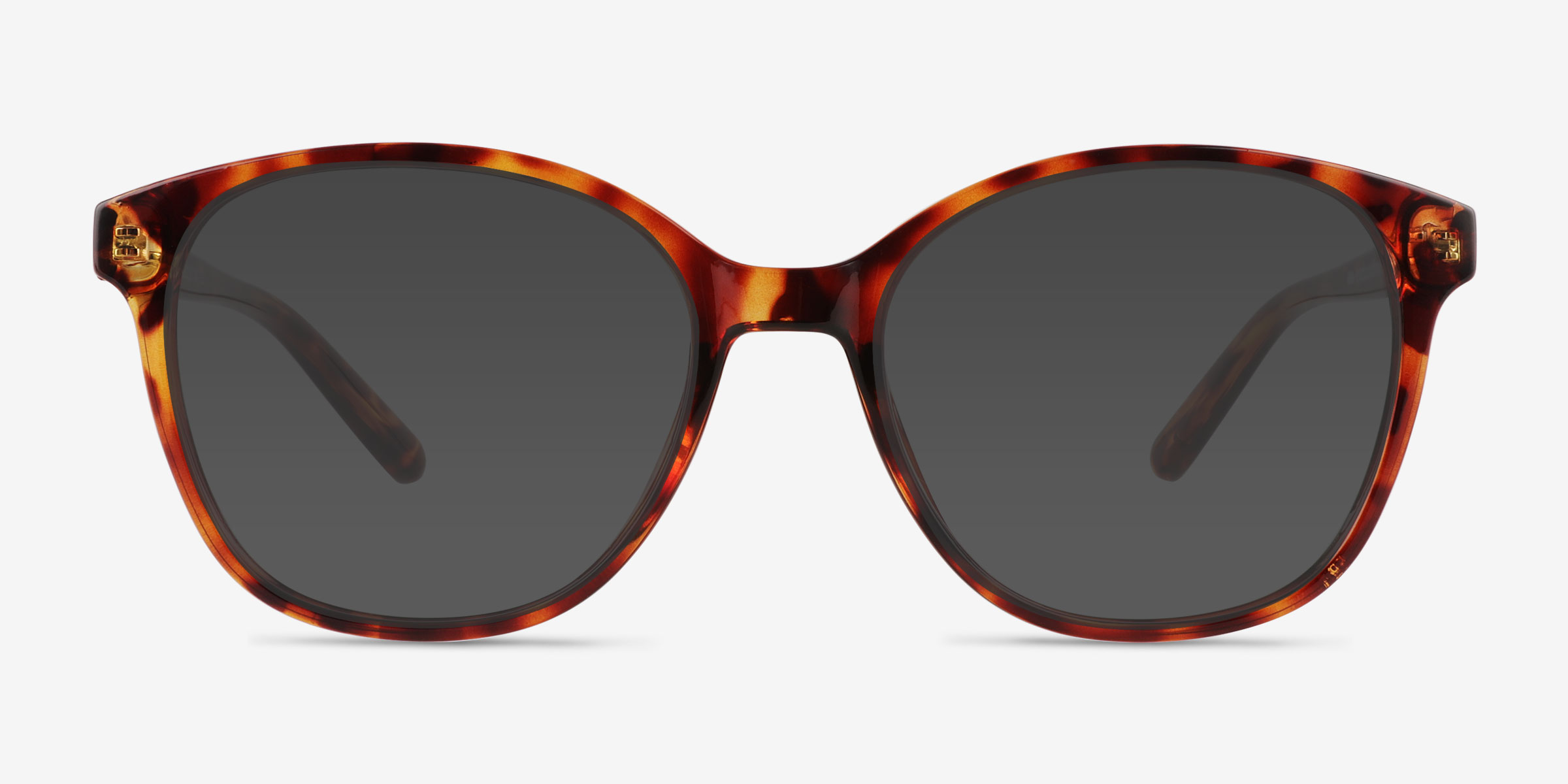 Sutton Écailles PlastiqueSoleil de Lunette de vue d'EyeBuyDirect, Vue de Face