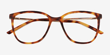 Brown Tortoise Study -  Metal Eyeglasses
