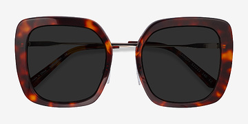 Tortoise Canopy -  Acetate, Metal Sunglasses