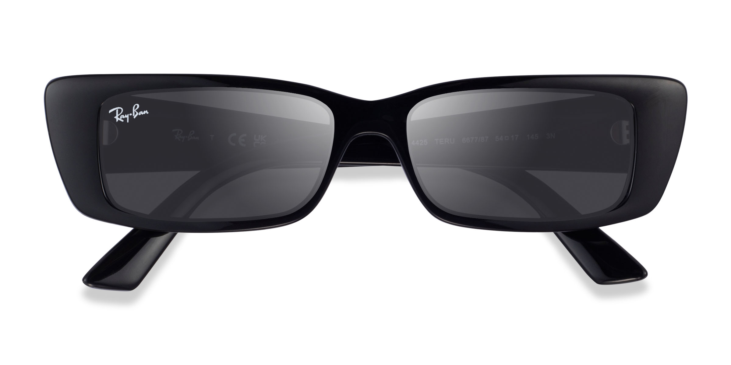 Shiny Black Ray-Ban RB4425 Teru -  Eco-friendly Sunglasses