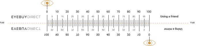 PD ruler size